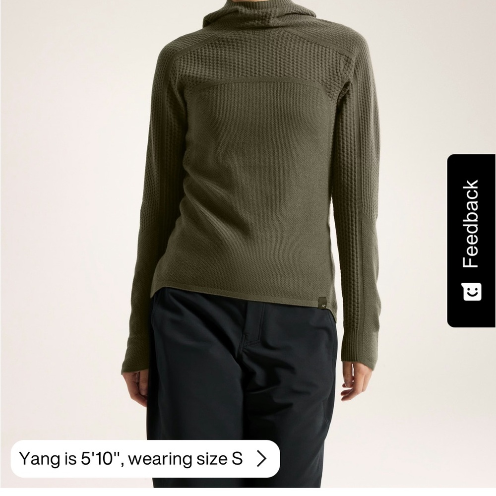 ARCTERYX HALLAM MERINO WOOL HOODY WOMEN'S